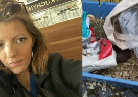 Shopaholicadel čelí kritice kvůli týrání zvířat: Mrtvé morče u popelnic, pes ve vážném stavu a králík neznámo kde
