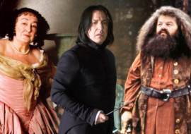 6 legendárních herců Harryho Pottera, kteří jsou po smrti: Selhání orgánů, rakovina i vražda