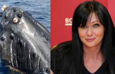 Poprvé od smrti Brendy z Beverly Hills promluvila matka a kamarád: Shannen Doherty se vrátila jako keporkak